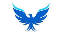 First Phoenix Accountants Ltd