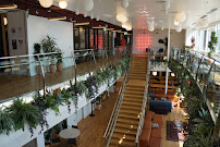 Launch CPA