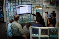 Corporate Communications, Inc.