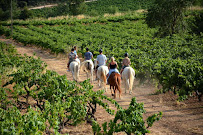 Argentina Travellers (una división de FedGe Travel SRL)