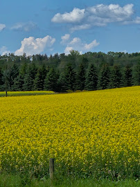 Dr. Doors and renovation Sylvan Lake