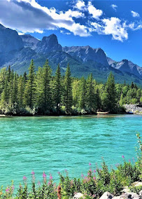Bow River Doors