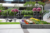 Caron & Partners LLP