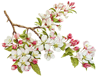 Kathrin's Massage Therapy