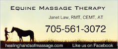 Healing Hands of Massage & Equine Massage Therapy
