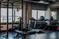Bloom Therapy Wellness Collective