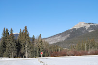 Royal LePage Tamarack Trail Realty