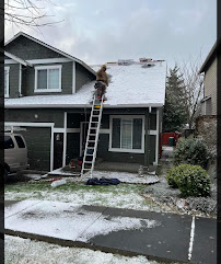 Vida Roofing