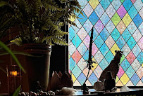 The Jungle Wellness Studio