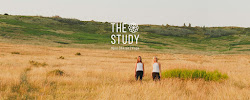 The Study Movement & Wellness Studio