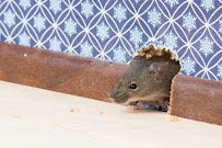 Truly Nolen Pest and Termite Control North Metro Atlanta