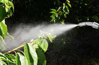 Truly Nolen Pest and Termite Control North Metro Atlanta