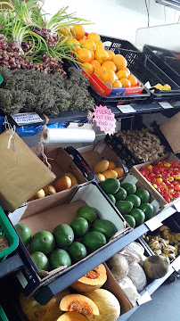 Sunland Caribbean Food