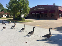 Campbell Auto Repair