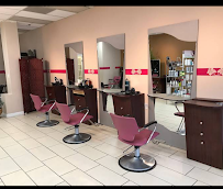 Rapunzel Hair Studio