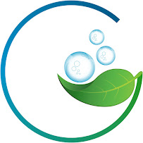 Clean and Green Inc. Building Maintenance