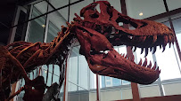 Science World