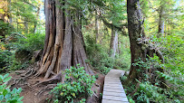 Pacific Rim National Park Reserve