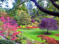 The Butchart Gardens