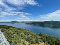 Malahat Skywalk