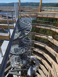 Malahat Skywalk