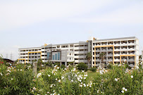 Chathamkulam Projects and Developers Pvt. Ltd.