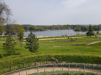Wedgwood Tea Room