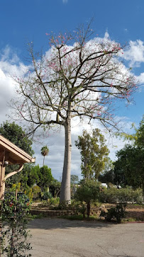 The Divine Art of Yoga Center Ashram