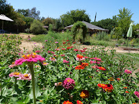 Lotus Garden Meditation Center