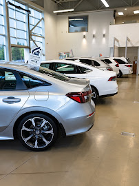 Foster Kia