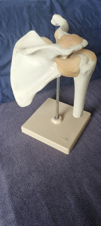 Evolve Chiropractic Winchester