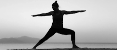 Basingstoke Chiropractic