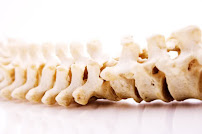 Sandalwood Chiropractic & Wellness Centre