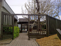 Taylor Chiropractic & Wellness