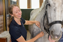Ancaster Cold Laser and Chiropractic Clinic