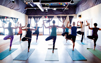 Soul Tree Yoga