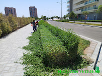 Al Ryum Group Of Companies
