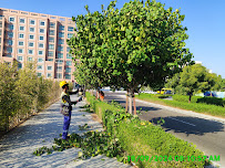 Al Ryum Group Of Companies