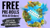 Buy CBD Oil Canada