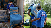 Let's Get Moving - Moving Company in Kingston