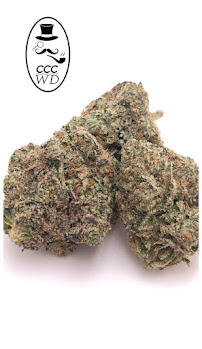 Cannabis Connoisseur's Collection Weed Delivery