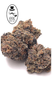 Cannabis Connoisseur's Collection Weed Delivery