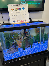 Dr Eileen Lo Happy Kids Dentistry