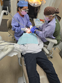 Gresham Smile Designs