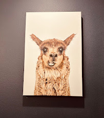 Open Door Family Dentistry: Medford