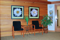 Sandra P. Carmeci DDS