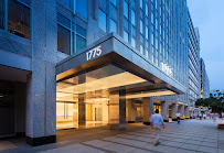 Lounge Lizard Worldwide