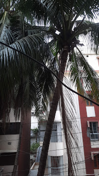 DigitalKings Limited