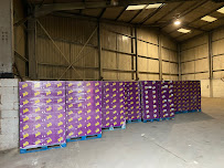 CBL Distribution Limited