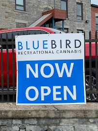 BlueBird Cannabis Almonte | Premium Recreational Cannabis Dispensary